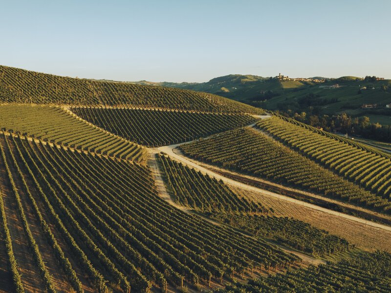 Eventi di lancio nuova Cayenne | Further Together